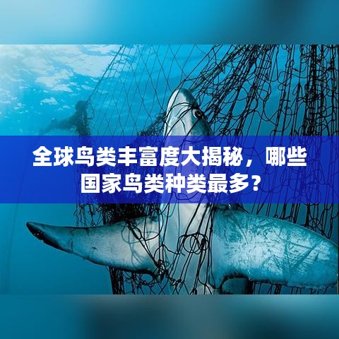 全球鳥(niǎo)類豐富度大揭秘，哪些國(guó)家鳥(niǎo)類種類最多？