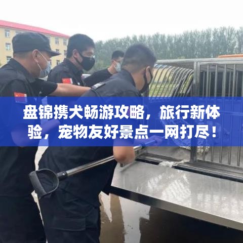 盤錦攜犬暢游攻略，旅行新體驗(yàn)，寵物友好景點(diǎn)一網(wǎng)打盡！