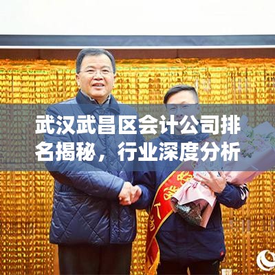 武漢武昌區(qū)會計公司排名揭秘，行業(yè)深度分析與解讀