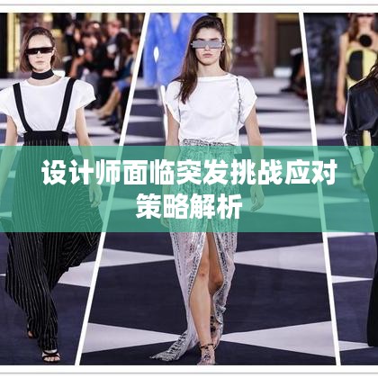 設計師面臨突發(fā)挑戰(zhàn)應對策略解析