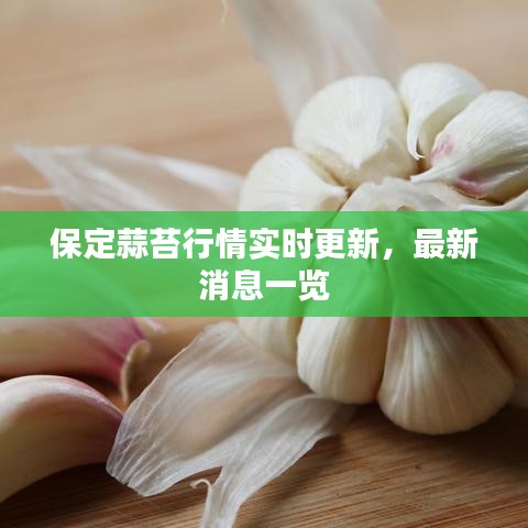 保定蒜苔行情實(shí)時更新，最新消息一覽
