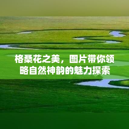 格?；ㄖ?，圖片帶你領略自然神韻的魅力探索