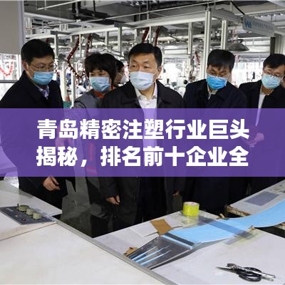 青島精密注塑行業(yè)巨頭揭秘，排名前十企業(yè)全景概覽