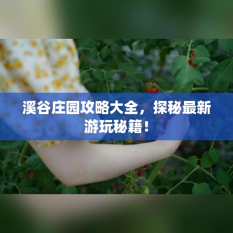 溪谷莊園攻略大全，探秘最新游玩秘籍！