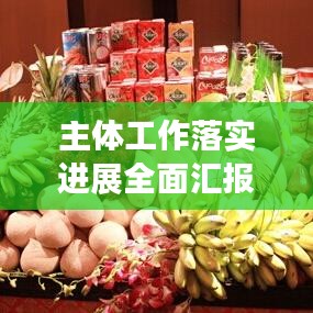 主體工作落實(shí)進(jìn)展全面匯報(bào)，實(shí)施細(xì)節(jié)與成效一網(wǎng)打盡！