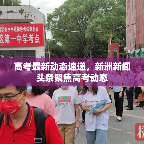 高考最新動(dòng)態(tài)速遞，新洲新聞?lì)^條聚焦高考動(dòng)態(tài)