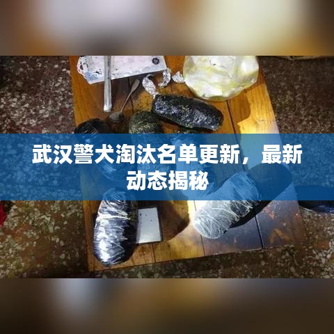 拾金不昧 第2頁