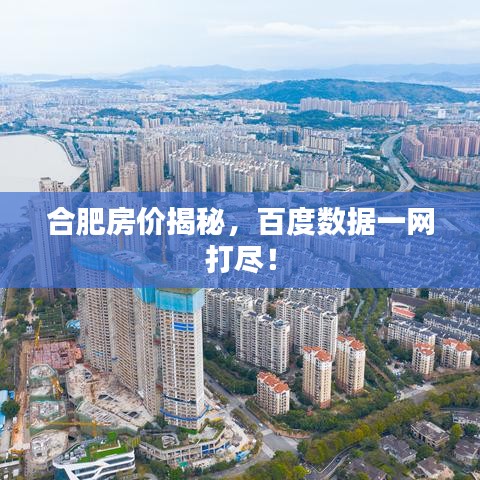 合肥房價揭秘，百度數據一網打盡！