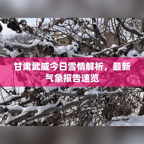甘肅武威今日雪情解析，最新氣象報告速覽
