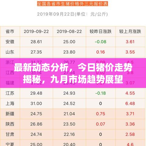 最新動態(tài)分析，今日豬價走勢揭秘，九月市場趨勢展望