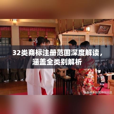 32類(lèi)商標(biāo)注冊(cè)范圍深度解讀，涵蓋全類(lèi)別解析