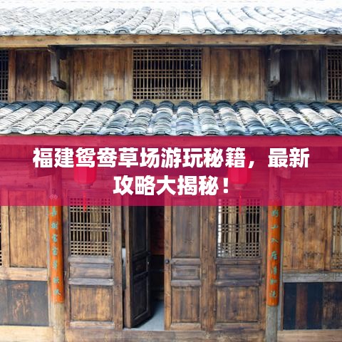 福建鴛鴦草場(chǎng)游玩秘籍，最新攻略大揭秘！