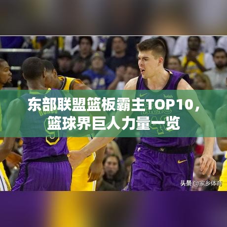 東部聯(lián)盟籃板霸主TOP10，籃球界巨人力量一覽