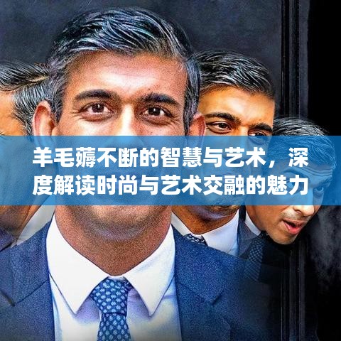 羊毛薅不斷的智慧與藝術(shù)，深度解讀時(shí)尚與藝術(shù)交融的魅力
