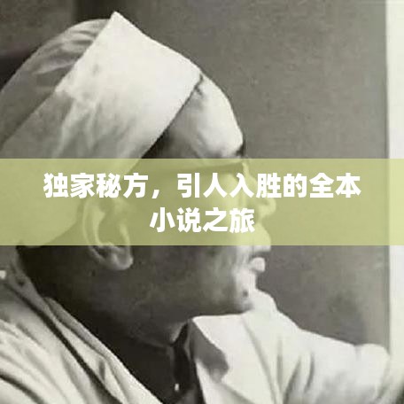 獨(dú)家秘方，引人入勝的全本小說之旅