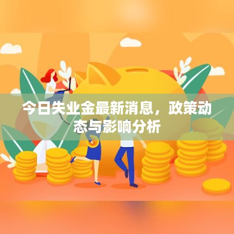 今日失業(yè)金最新消息，政策動(dòng)態(tài)與影響分析