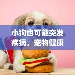 小狗也可能突發(fā)疾病，寵物健康不容忽視的重要性