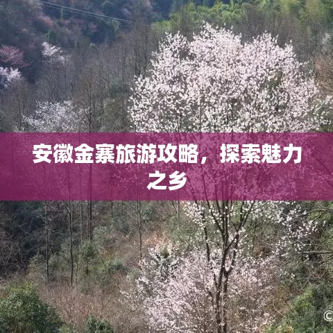 安徽金寨旅游攻略，探索魅力之鄉(xiāng)