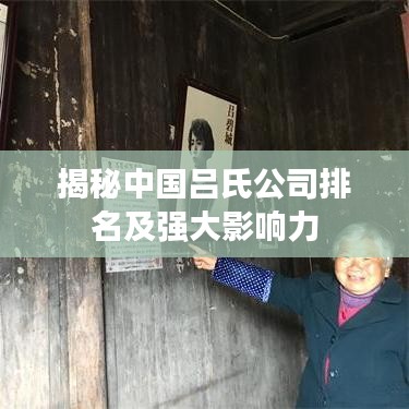 揭秘中國呂氏公司排名及強大影響力