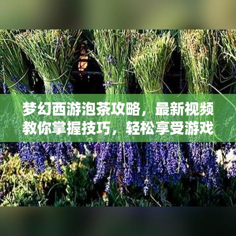 夢(mèng)幻西游泡茶攻略，最新視頻教你掌握技巧，輕松享受游戲樂(lè)趣！