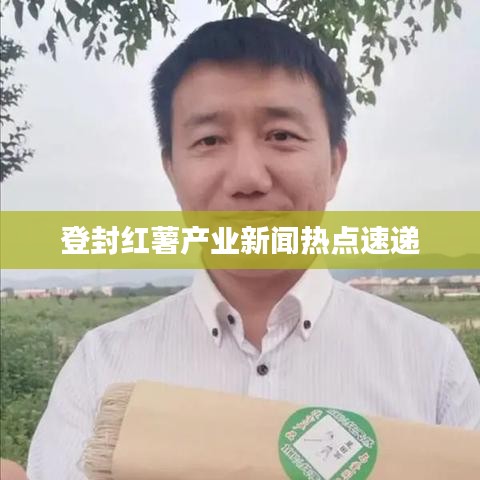 登封紅薯產(chǎn)業(yè)新聞熱點速遞