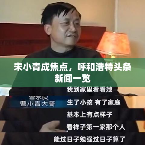 宋小青成焦點(diǎn)，呼和浩特頭條新聞一覽