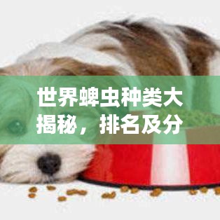世界蜱蟲(chóng)種類大揭秘，排名及分布全解析