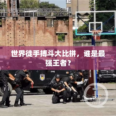世界徒手搏斗大比拼，誰(shuí)是最強(qiáng)王者？