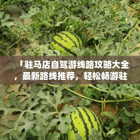 「駐馬店自駕游線路攻略大全，最新路線推薦，輕松暢游駐馬店！」
