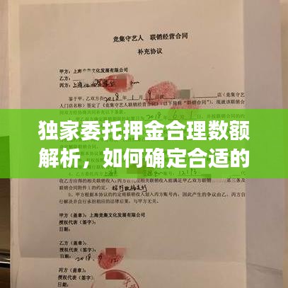 獨(dú)家委托押金合理數(shù)額解析，如何確定合適的押金標(biāo)準(zhǔn)？