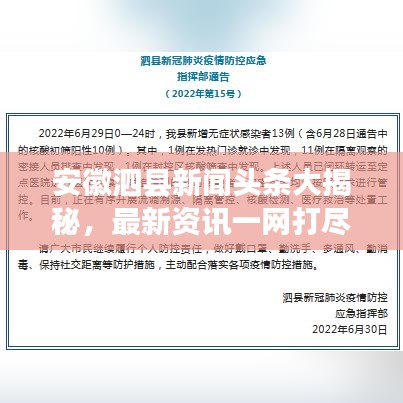 安徽泗縣新聞?lì)^條大揭秘，最新資訊一網(wǎng)打盡！