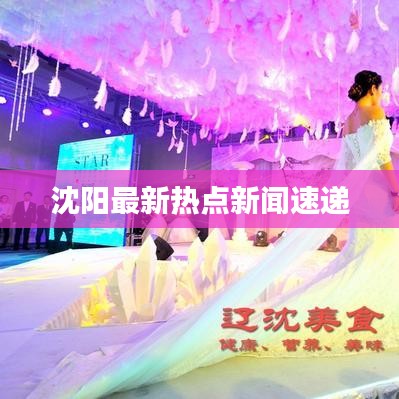 沈陽最新熱點(diǎn)新聞速遞