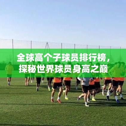 全球高個子球員排行榜，探秘世界球員身高之巔