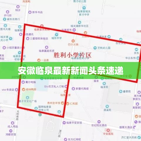 安徽臨泉最新新聞頭條速遞