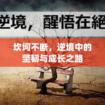 坎坷不斷，逆境中的堅韌與成長之路