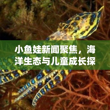 小魚娃新聞聚焦，海洋生態(tài)與兒童成長(zhǎng)探索