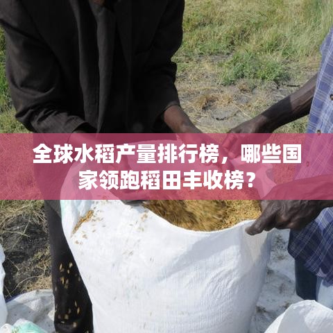 全球水稻產(chǎn)量排行榜，哪些國家領(lǐng)跑稻田豐收榜？
