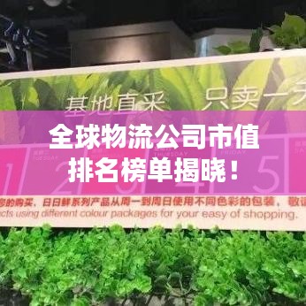 全球物流公司市值排名榜單揭曉！