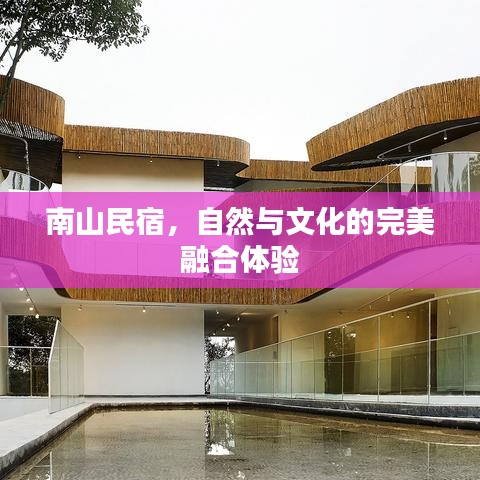 南山民宿，自然與文化的完美融合體驗(yàn)