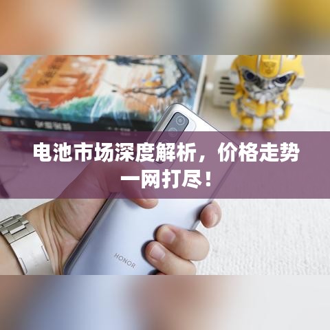 電池市場(chǎng)深度解析，價(jià)格走勢(shì)一網(wǎng)打盡！