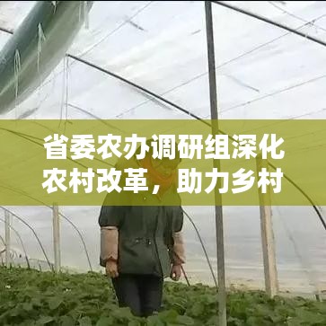 省委農(nóng)辦調(diào)研組深化農(nóng)村改革，助力鄉(xiāng)村振興新篇章開啟