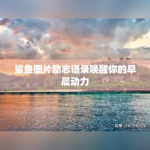 鯊魚圖片勵(lì)志語錄喚醒你的早晨動力