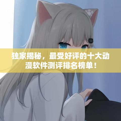 獨家揭秘，最受好評的十大動漫軟件測評排名榜單！
