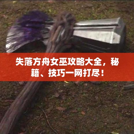 失落方舟女巫攻略大全，秘籍、技巧一網(wǎng)打盡！