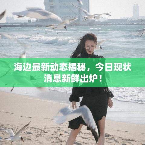 海邊最新動態(tài)揭秘，今日現(xiàn)狀消息新鮮出爐！