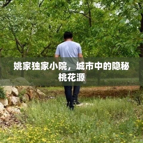 姚家獨(dú)家小院，城市中的隱秘桃花源