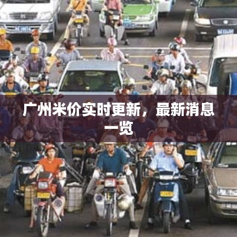 廣州米價(jià)實(shí)時(shí)更新，最新消息一覽