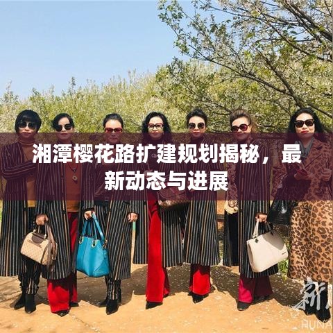 湘潭櫻花路擴建規(guī)劃揭秘，最新動態(tài)與進展
