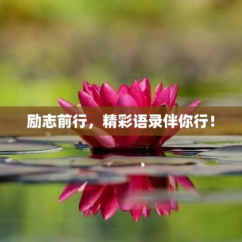 勵志前行，精彩語錄伴你行！
