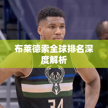 布萊德索全球排名深度解析